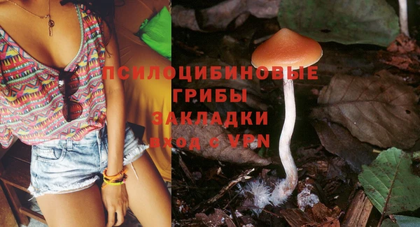 герыч Белокуриха